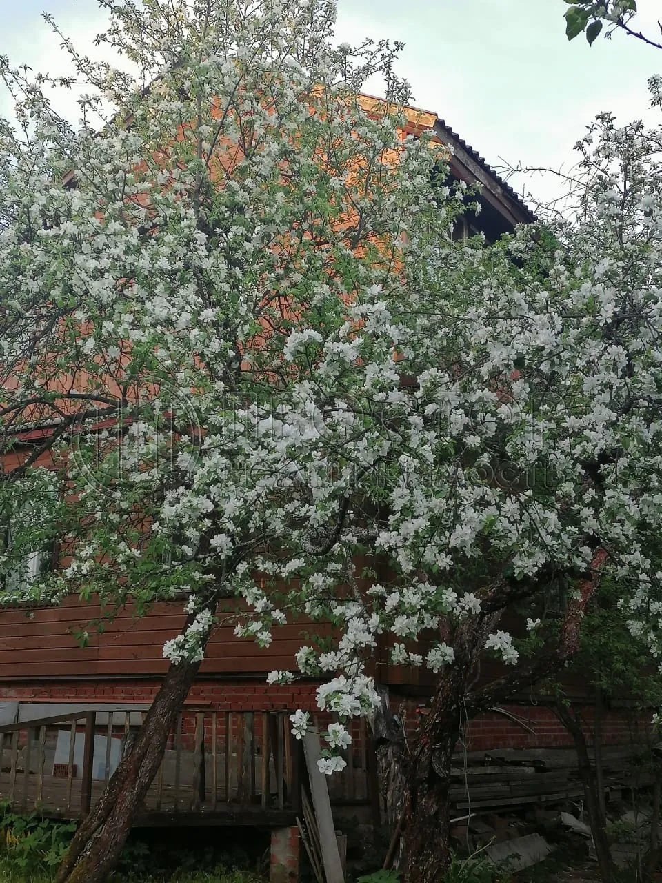 Дом, 100 м² - фото 19