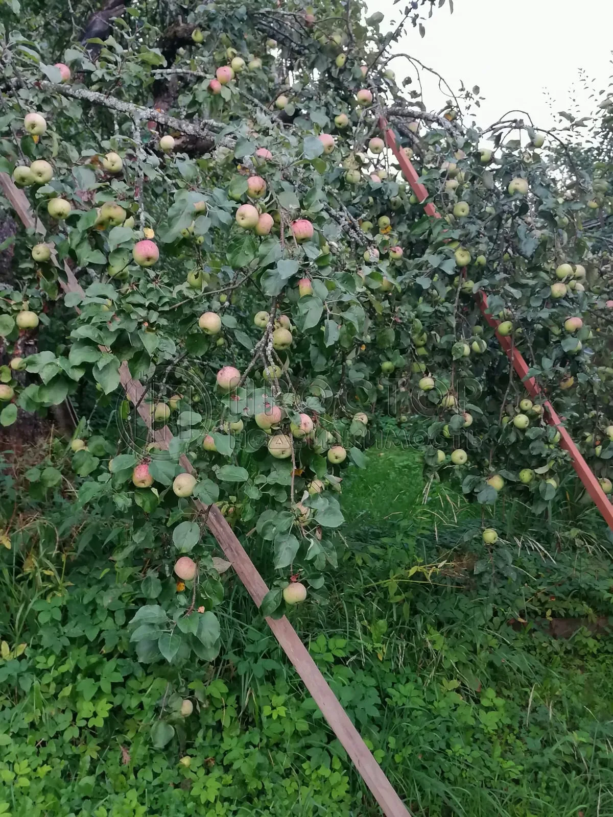 Дом, 100 м² - фото 20