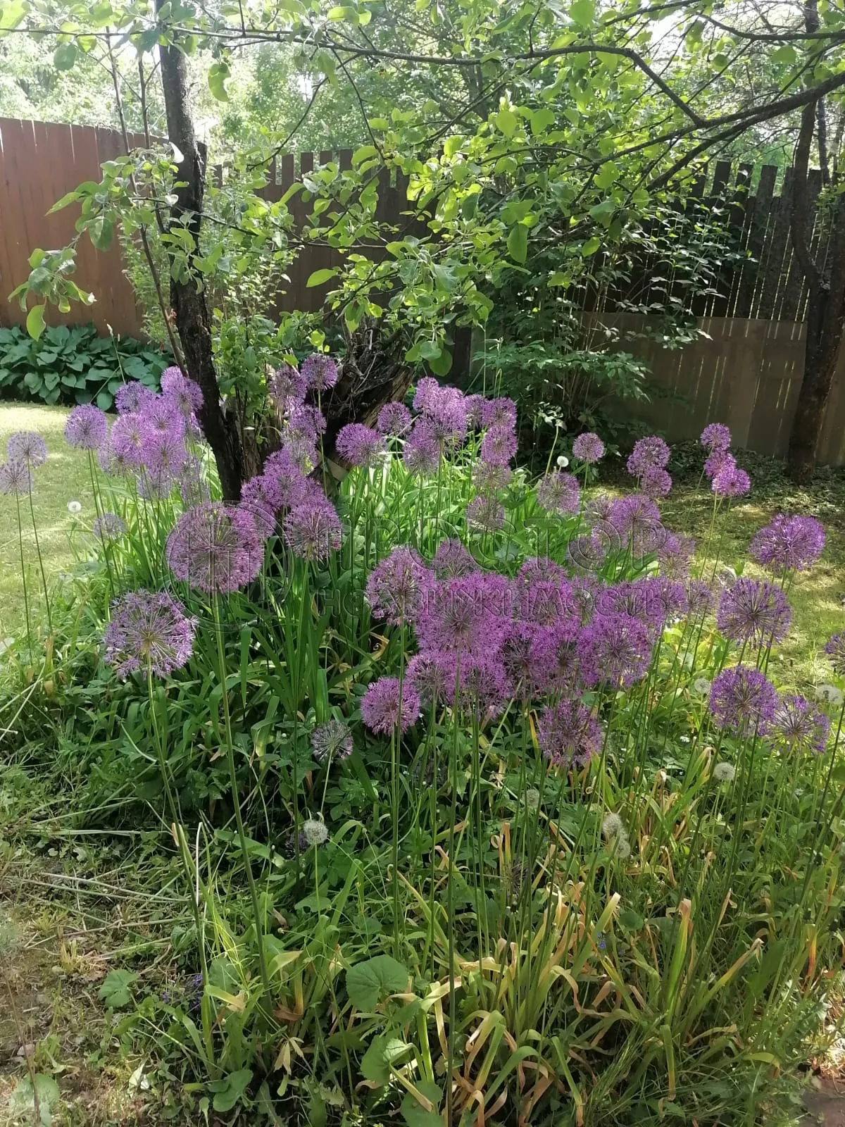 Дом, 100 м² - фото 21