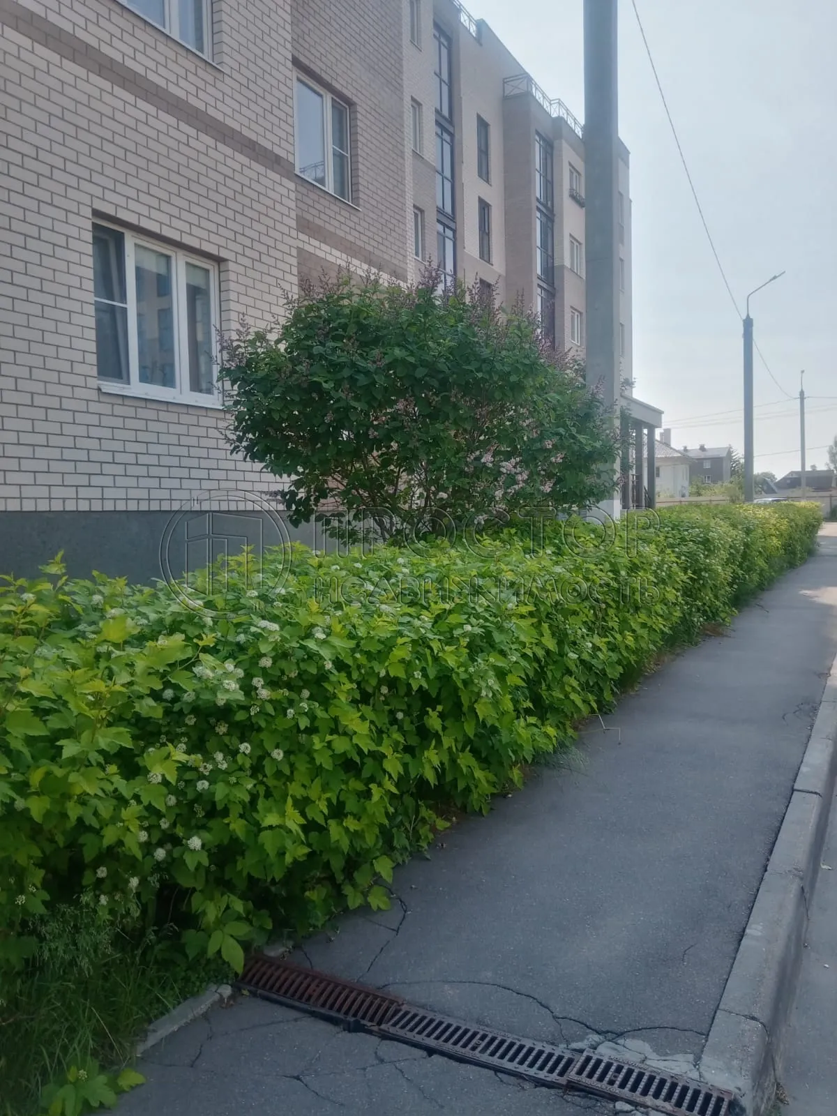 3-комнатная квартира, 75.6 м² - фото 3