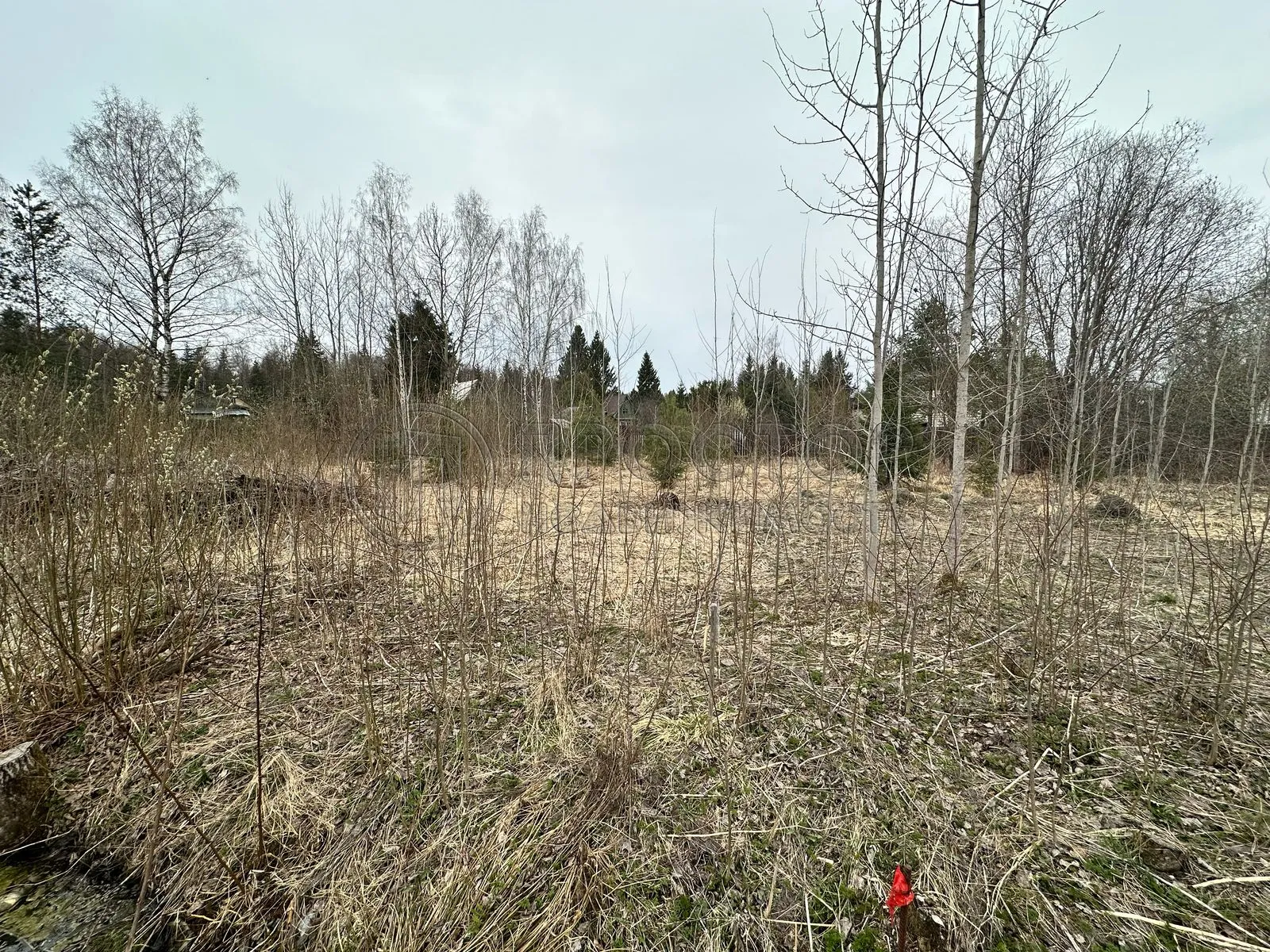 Участок, 8.59 сот. - фото 3