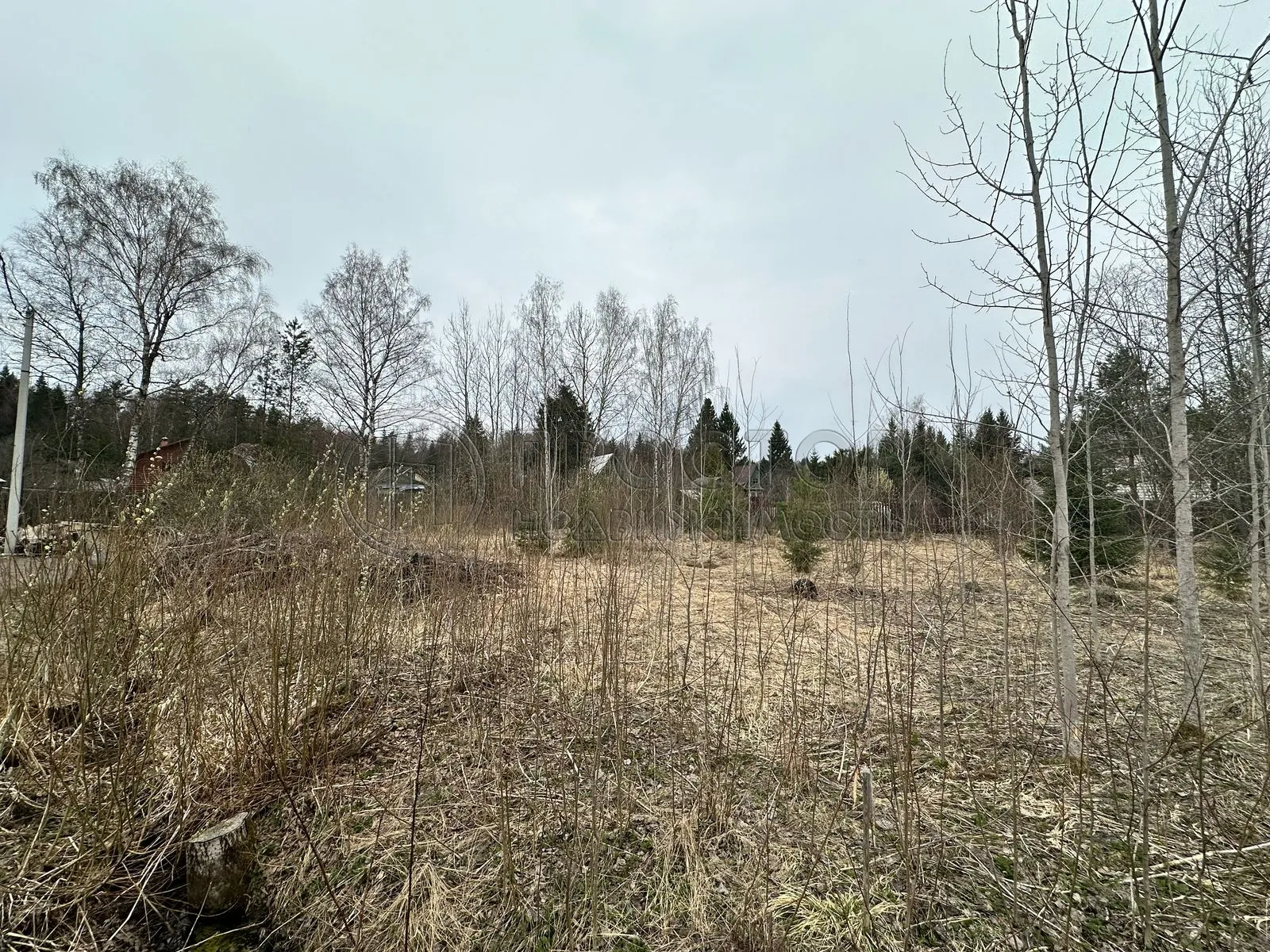 Участок, 8.59 сот. - фото 4