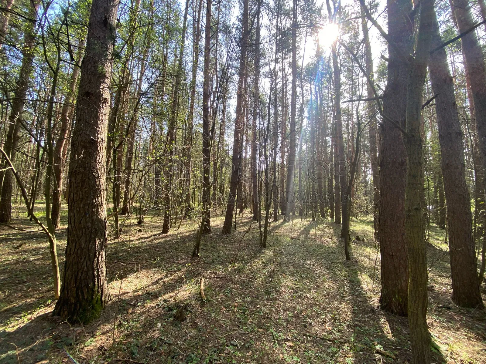 2-комнатная квартира, 40 м² - фото 4