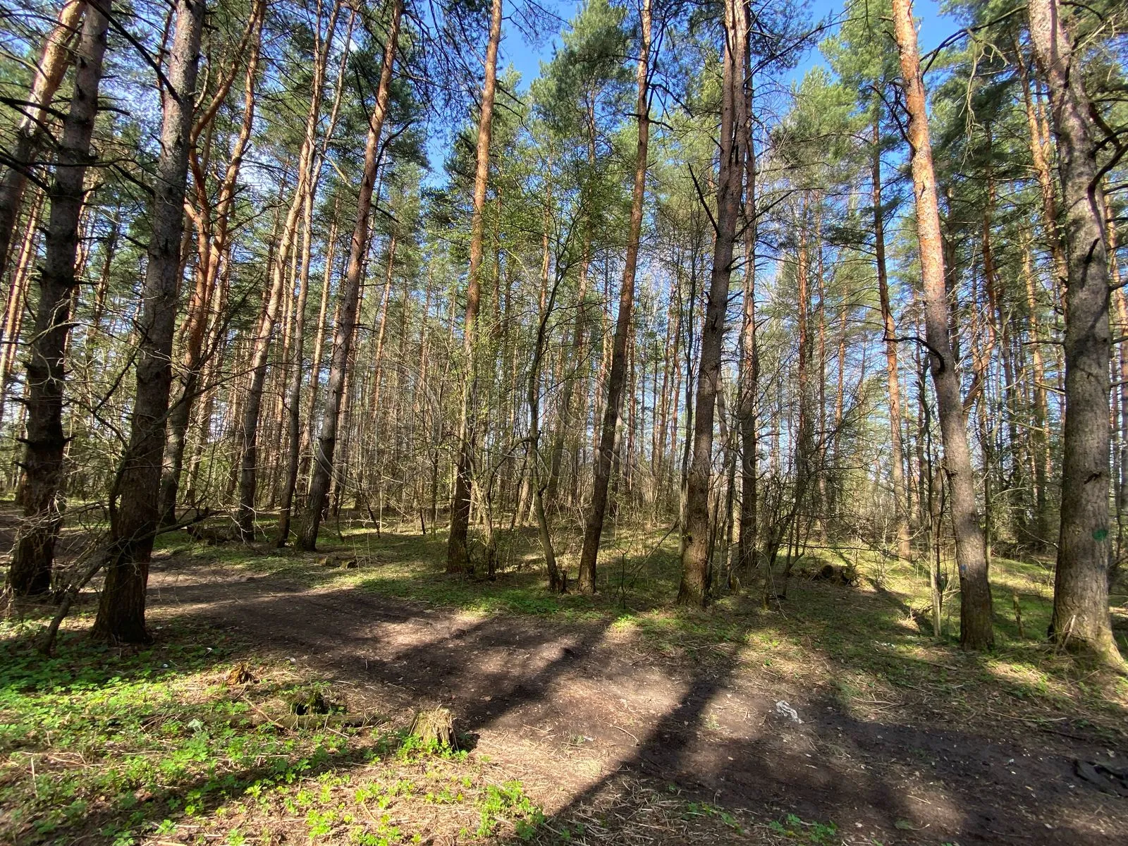 2-комнатная квартира, 40 м² - фото 5