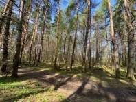2-комнатная квартира, 40 м² - фото 27
