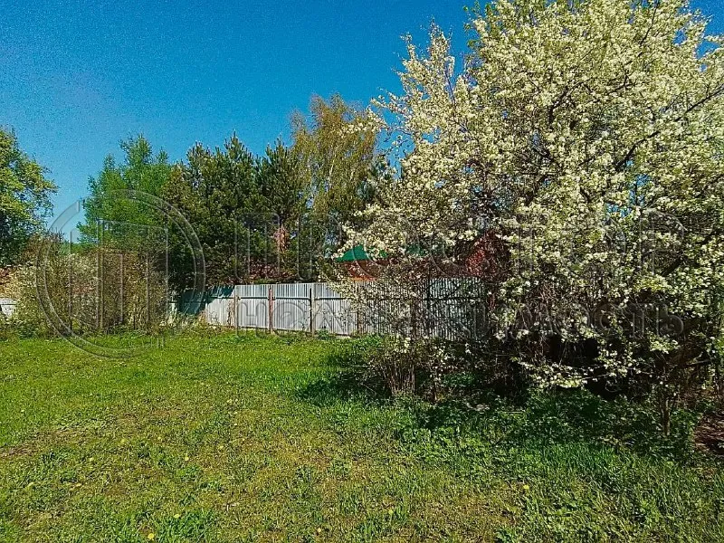 Участок, 25 сот. - фото 3