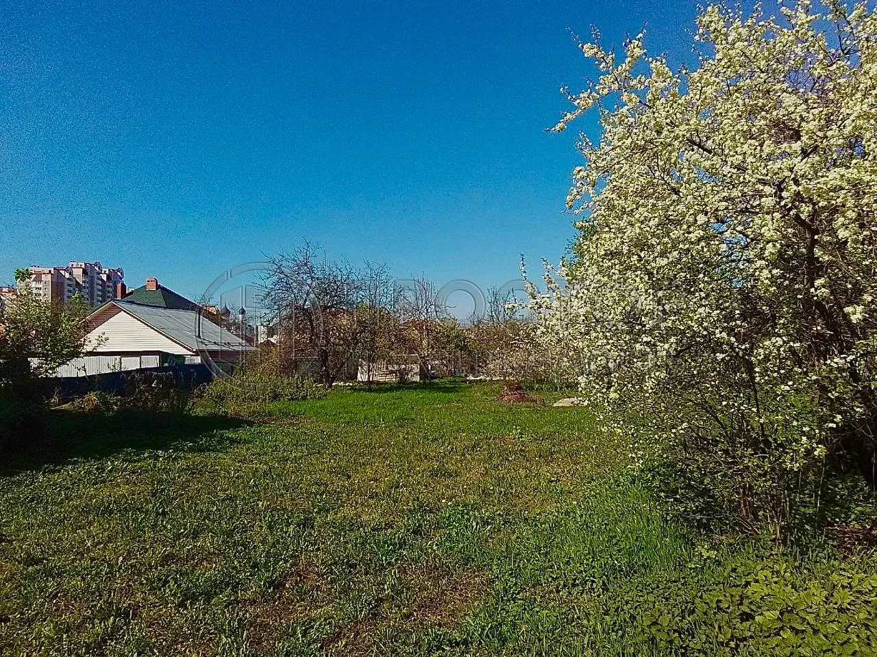 Участок, 25 сот. - фото 2