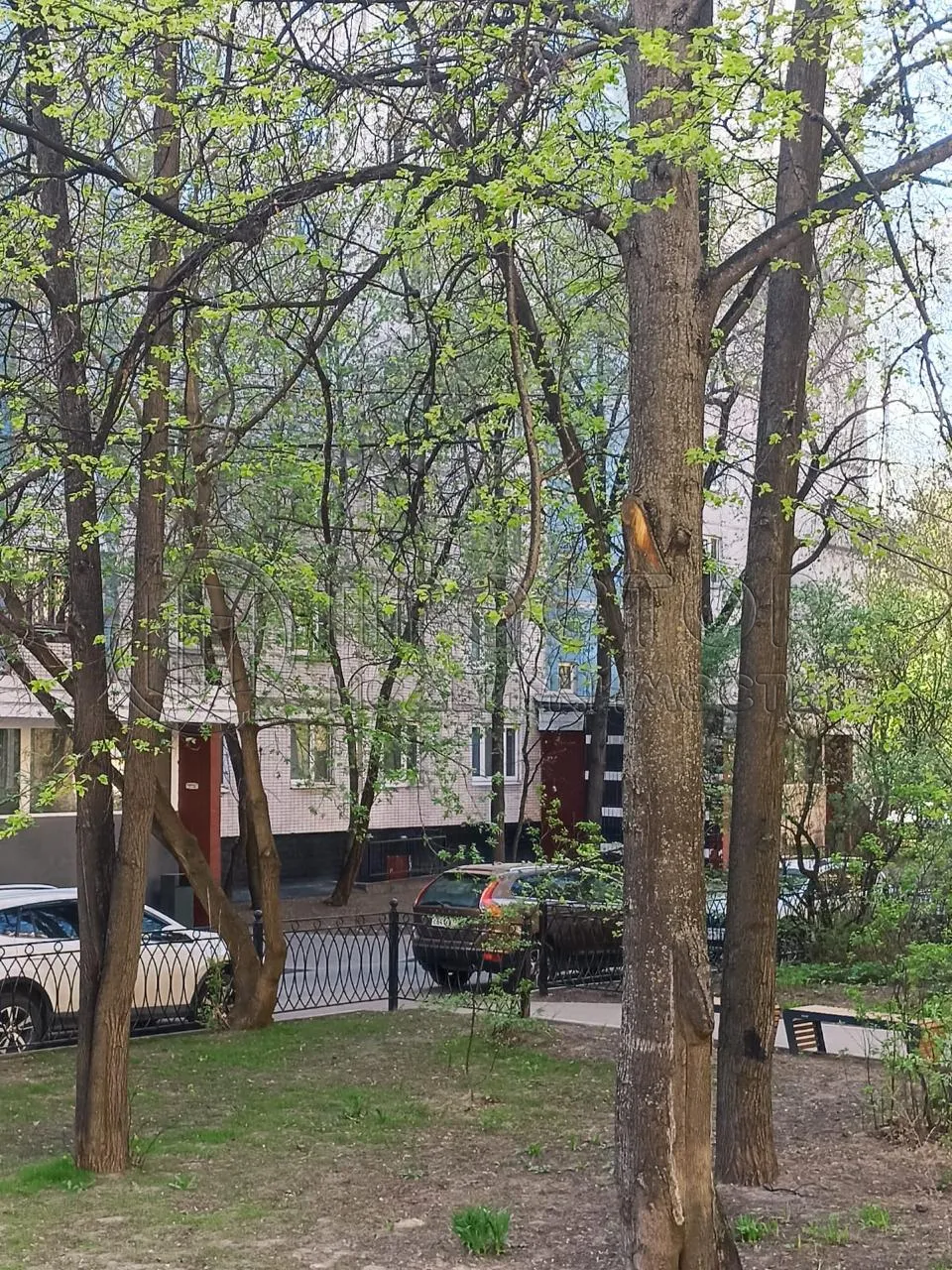 4-комнатная квартира, 75 м² - фото 12