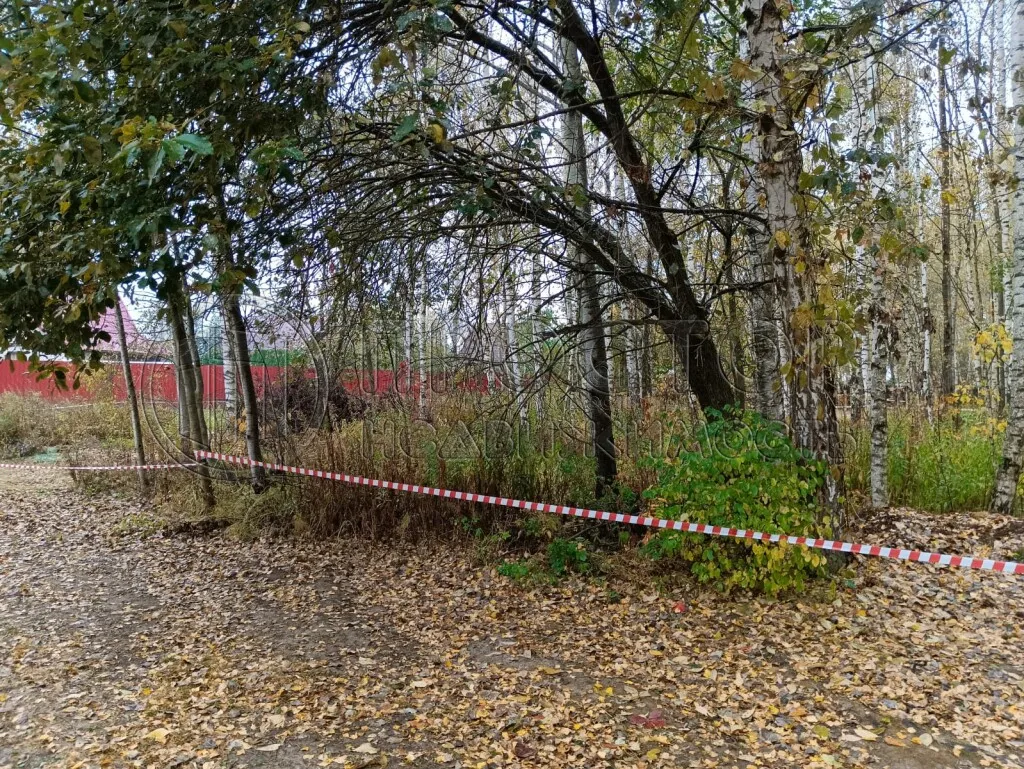 Участок, 12 сот. - фото 3