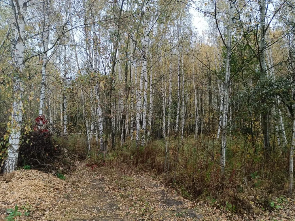 Участок, 12 сот. - фото 5