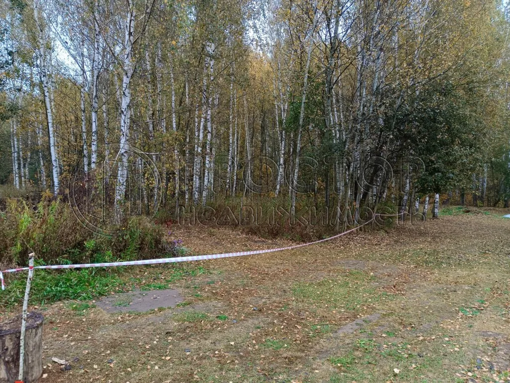 Участок, 12 сот. - фото 6