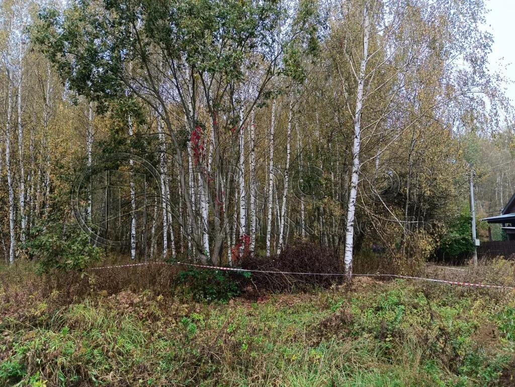 Участок, 12 сот. - фото 8