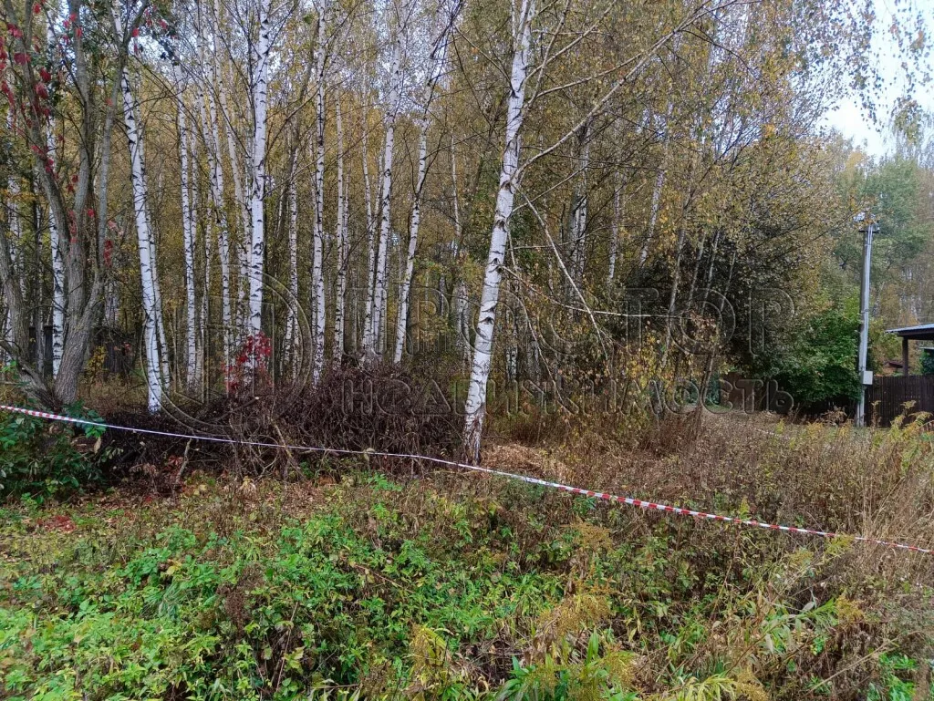 Участок, 12 сот. - фото 11