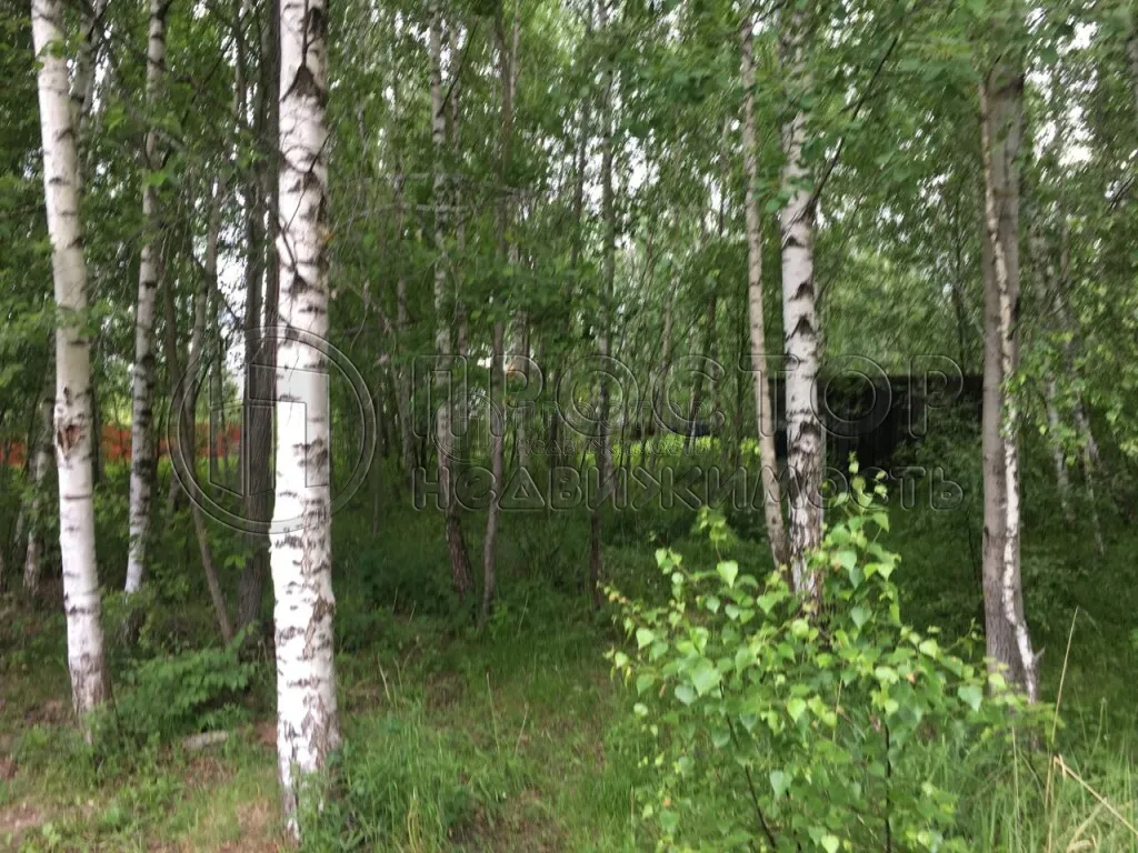 Участок, 12 сот. - фото 12