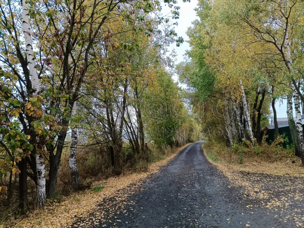 Участок, 12 сот. - фото 13