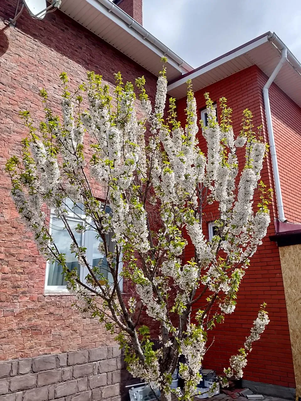 Дом, 260 м² - фото 3