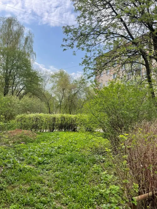 2-комнатная квартира, 44.5 м² - фото 25