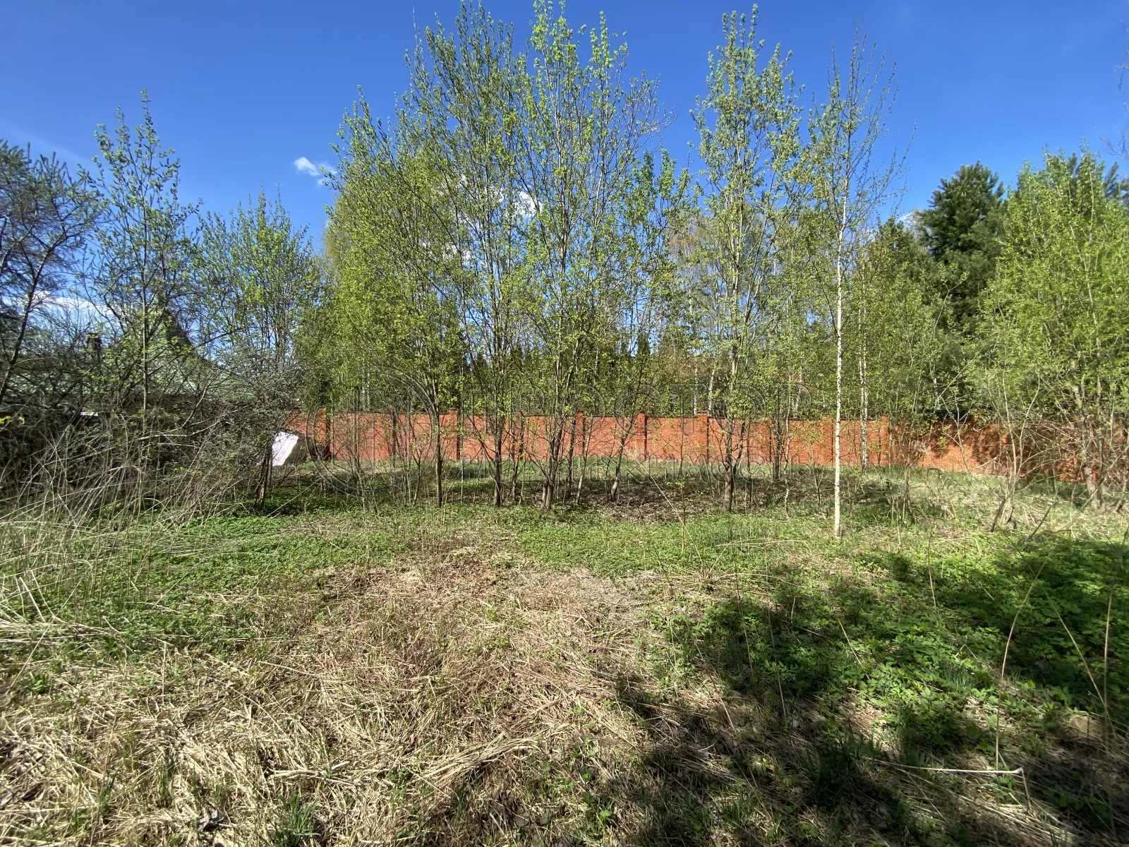 Участок, 15 сот. - фото 3