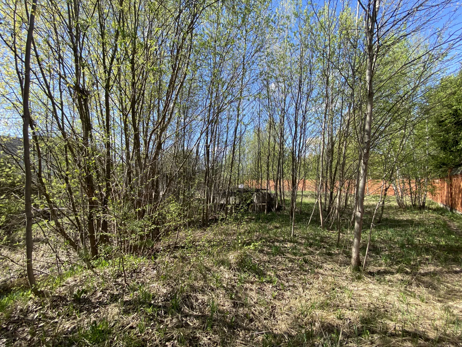 Участок, 15 сот. - фото 6