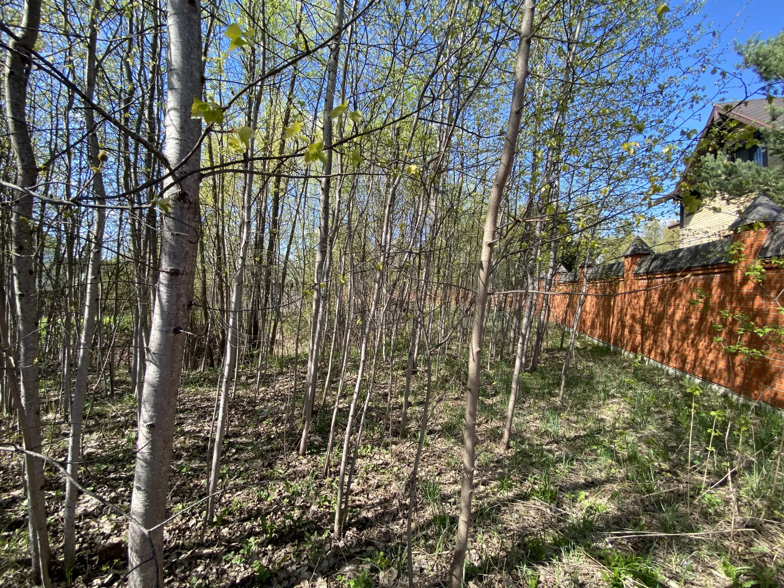 Участок, 15 сот. - фото 7