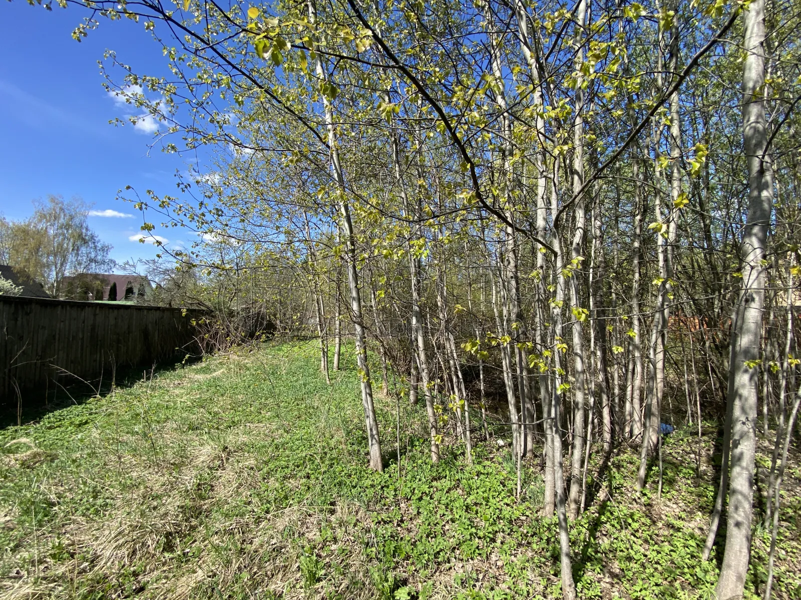 Участок, 15 сот. - фото 8