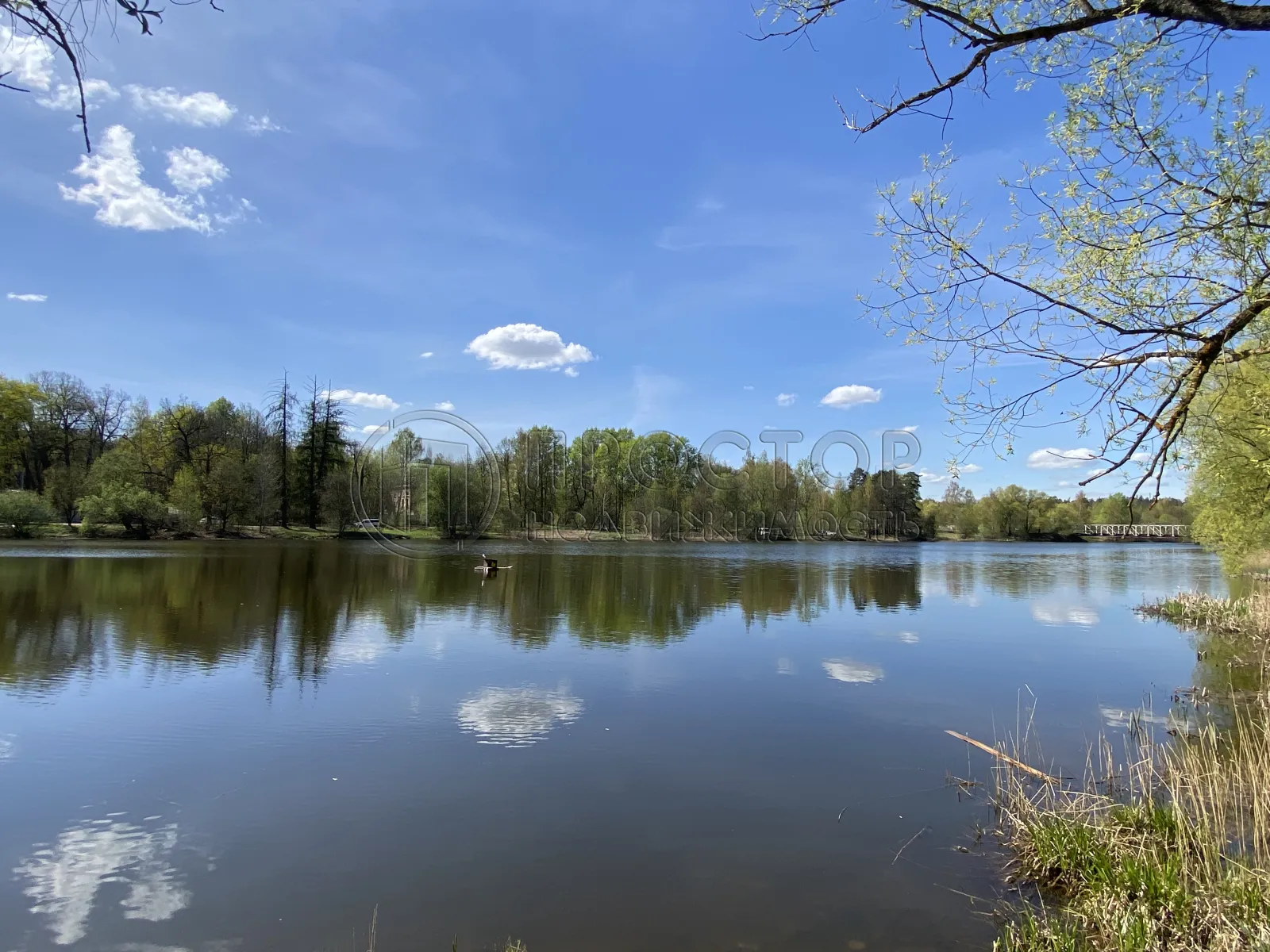 Участок, 15 сот. - фото 13