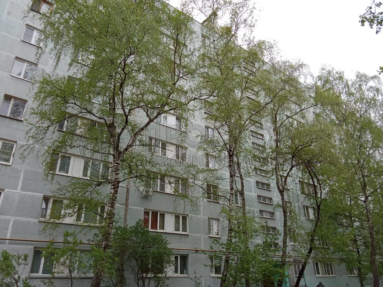 3-комнатная квартира, 54 м² - фото 3