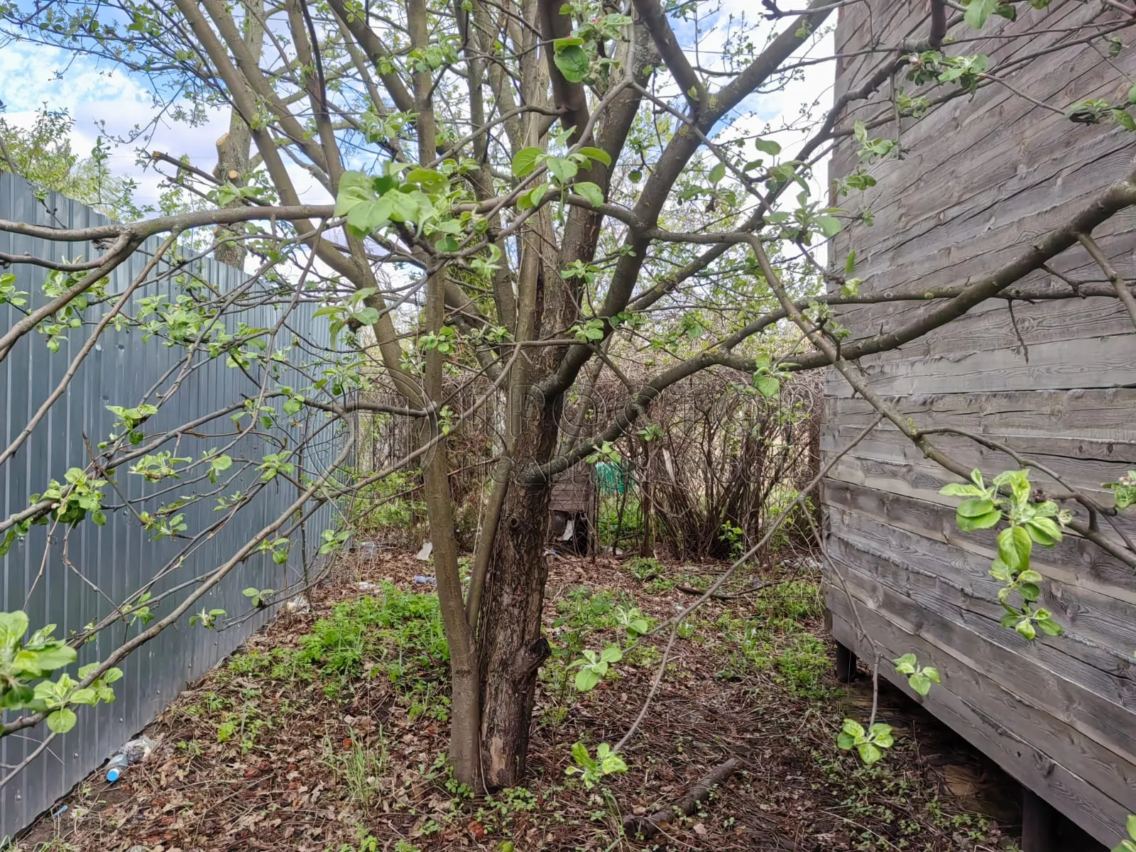 Дом, 80 м² - фото 9