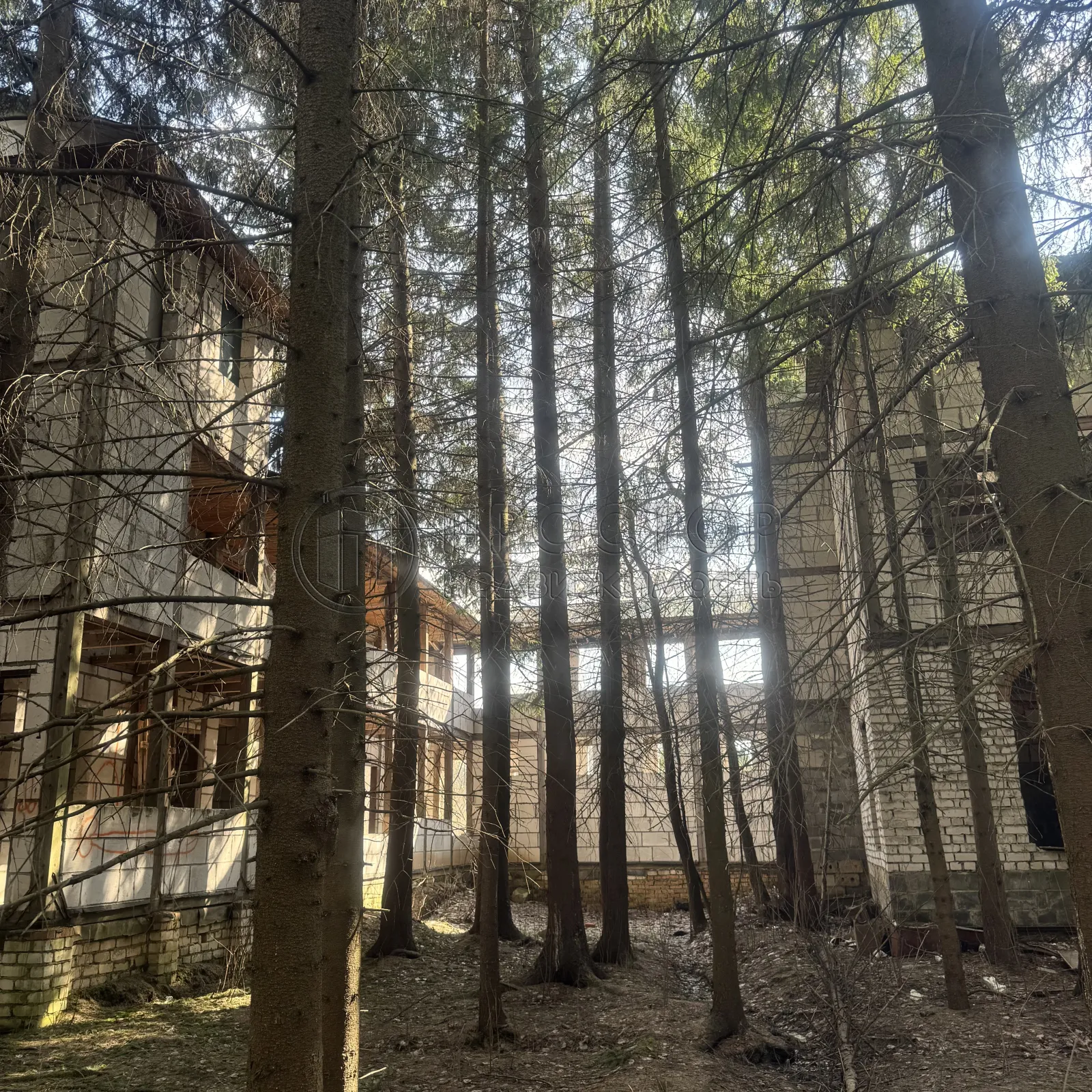 Участок, 10 сот. - фото 3