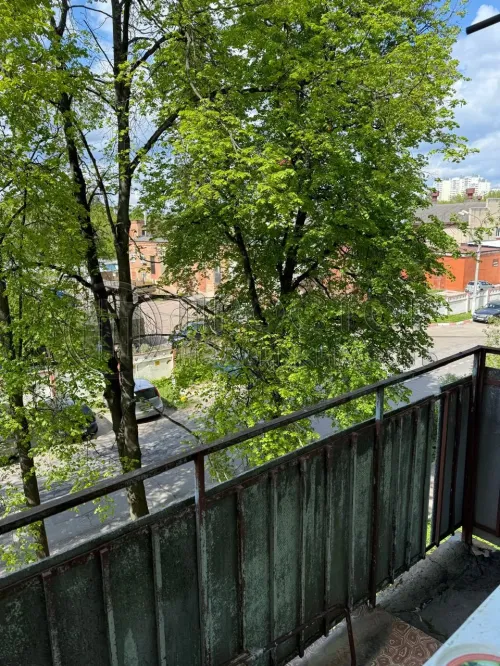 1-комнатная квартира, 30.8 м² - фото 3