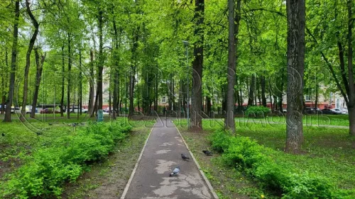 3-комнатная квартира, 87.4 м² - фото 19