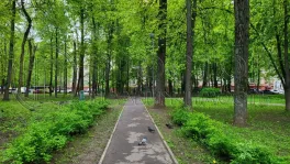 3-комнатная квартира, 87.4 м² - фото 38