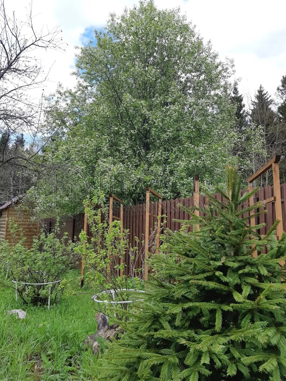 Дом, 140 м² - фото 2