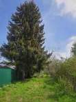 Участок, 17 сот. - фото 19