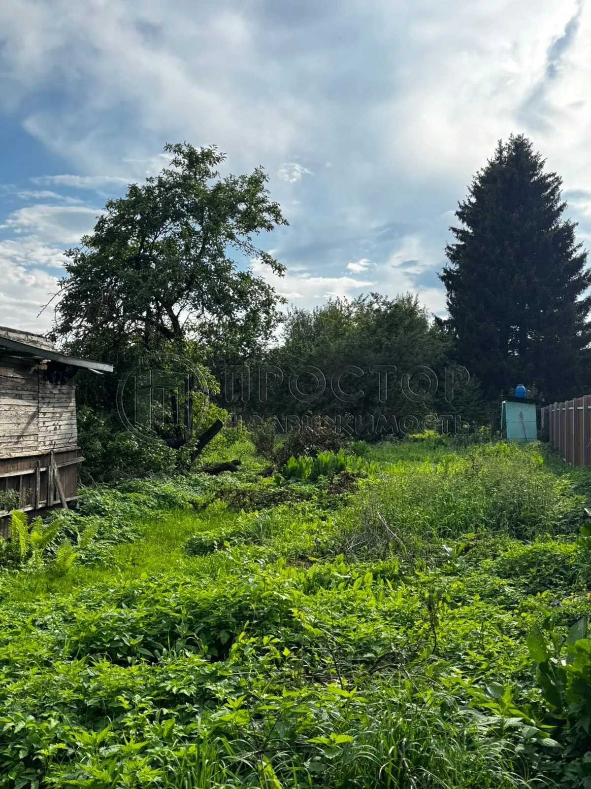 Участок, 17 сот. - фото 6