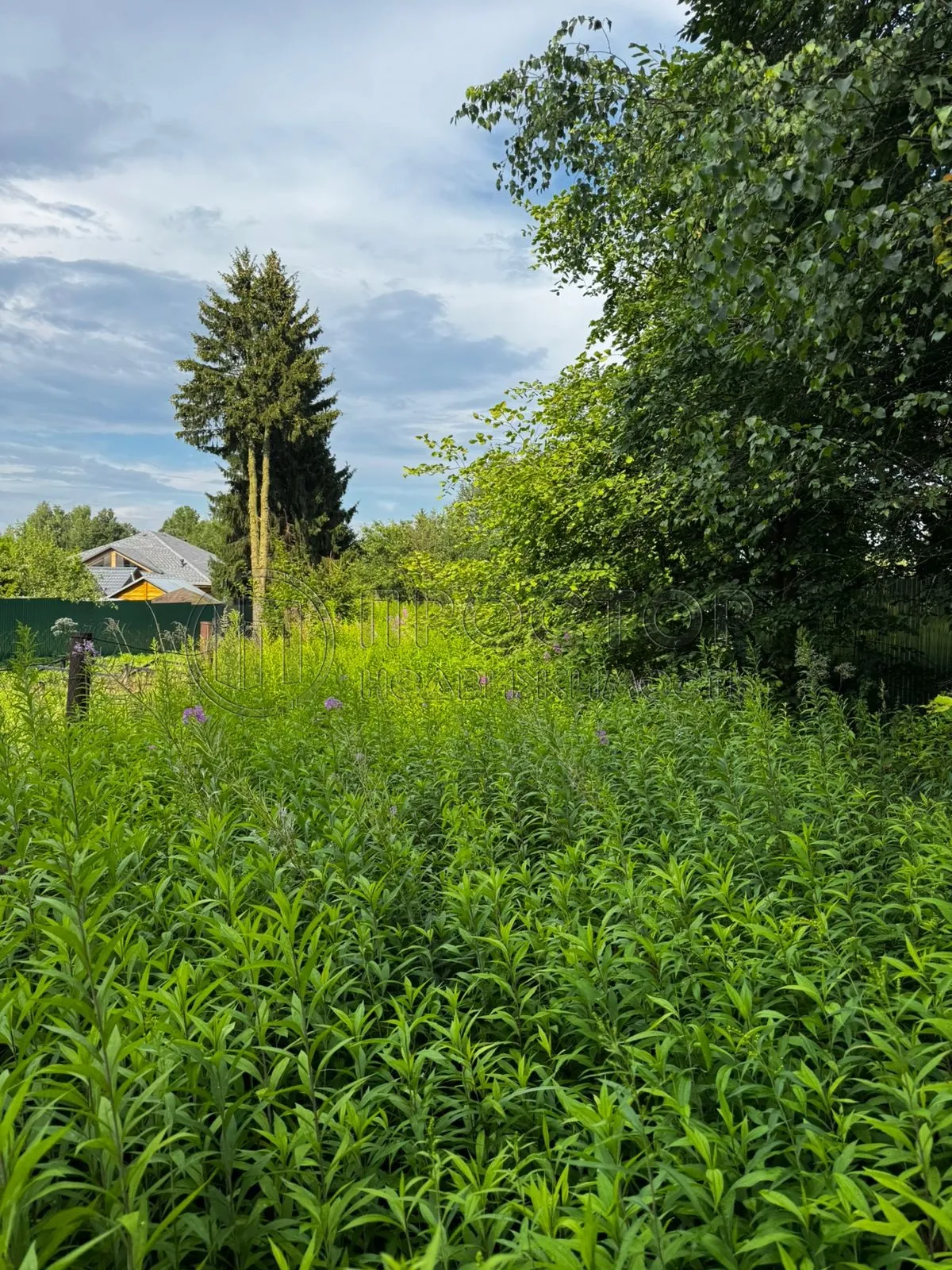 Участок, 17 сот. - фото 7