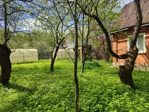 Дом, 55.73 м² - фото 4