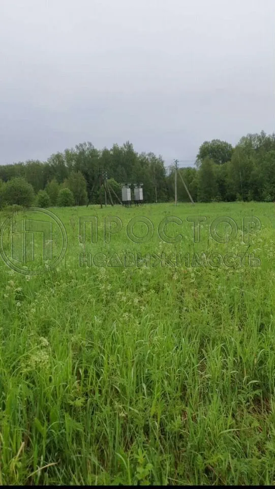 Коммерческая недвижимость (земельный участок),  м² - фото 2