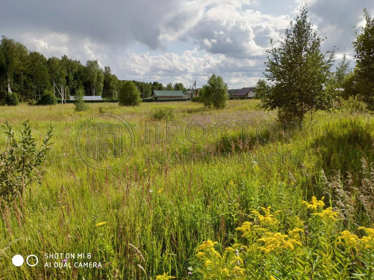 Коммерческая недвижимость (земельный участок),  м² - фото 13