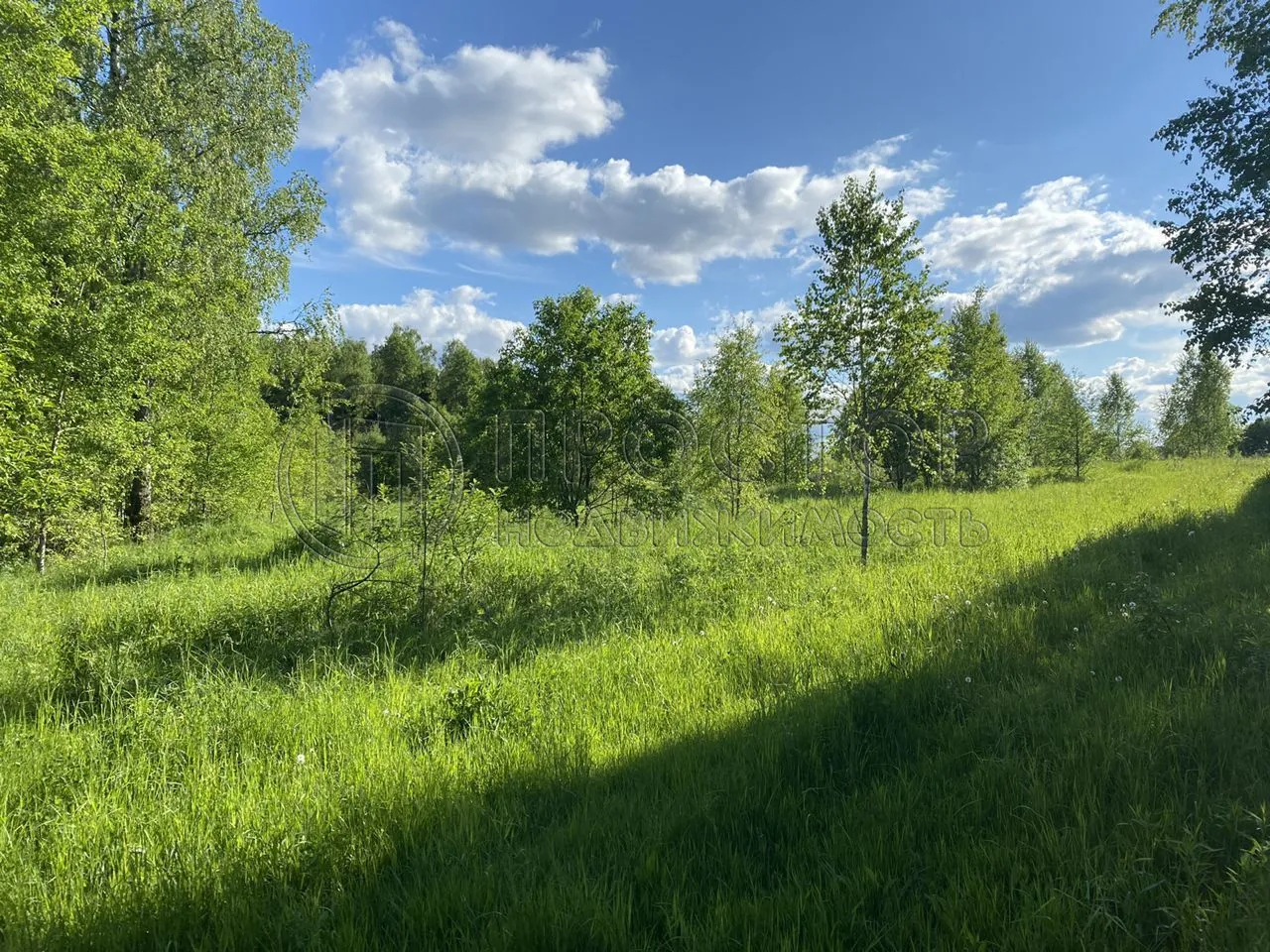 Коммерческая недвижимость (земельный участок),  м² - фото 26