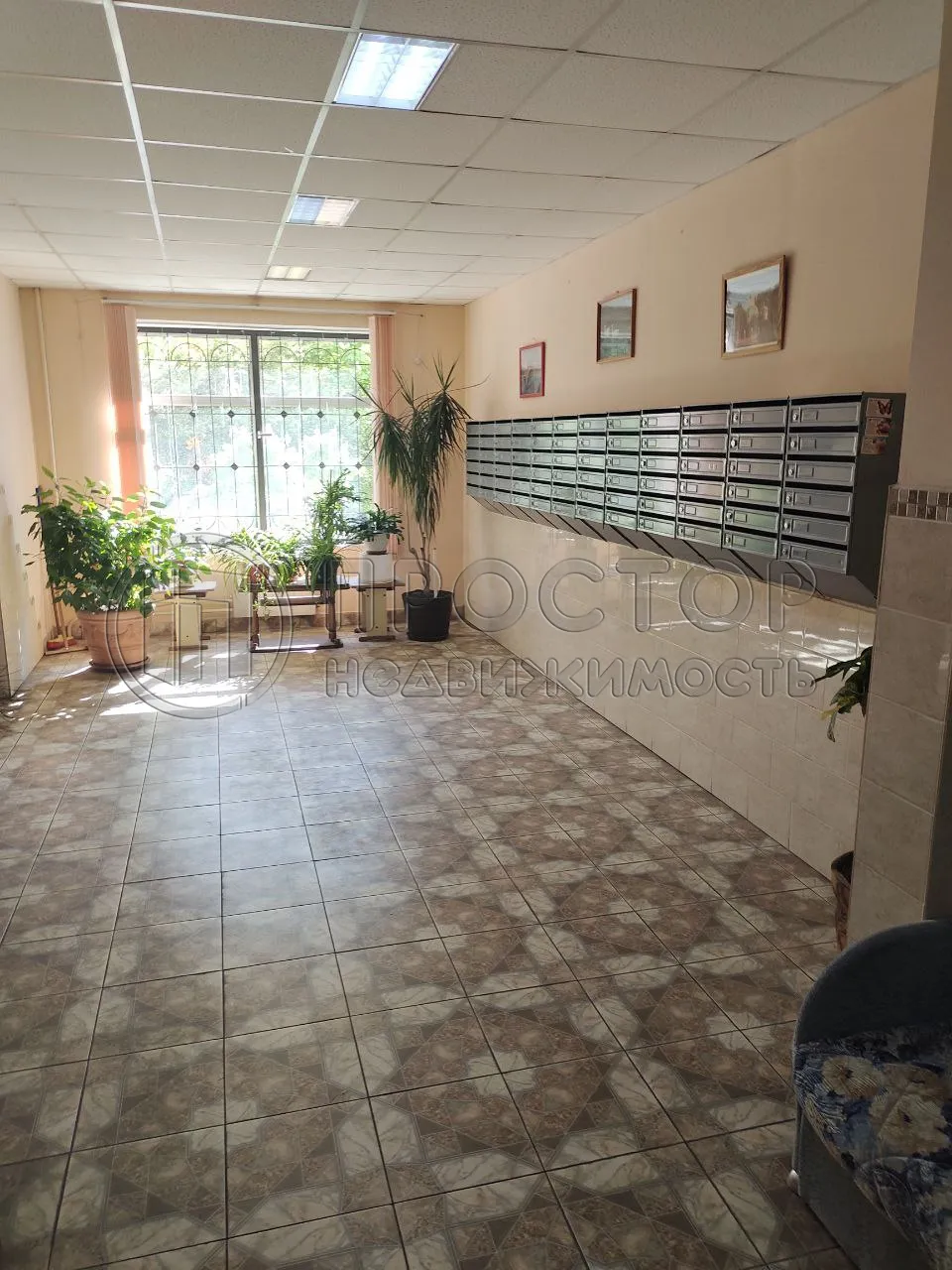 2-комнатная квартира, 52.9 м² - фото 4