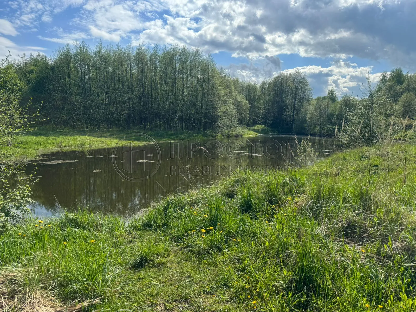 Коммерческая недвижимость (земельный участок),  м² - фото 2