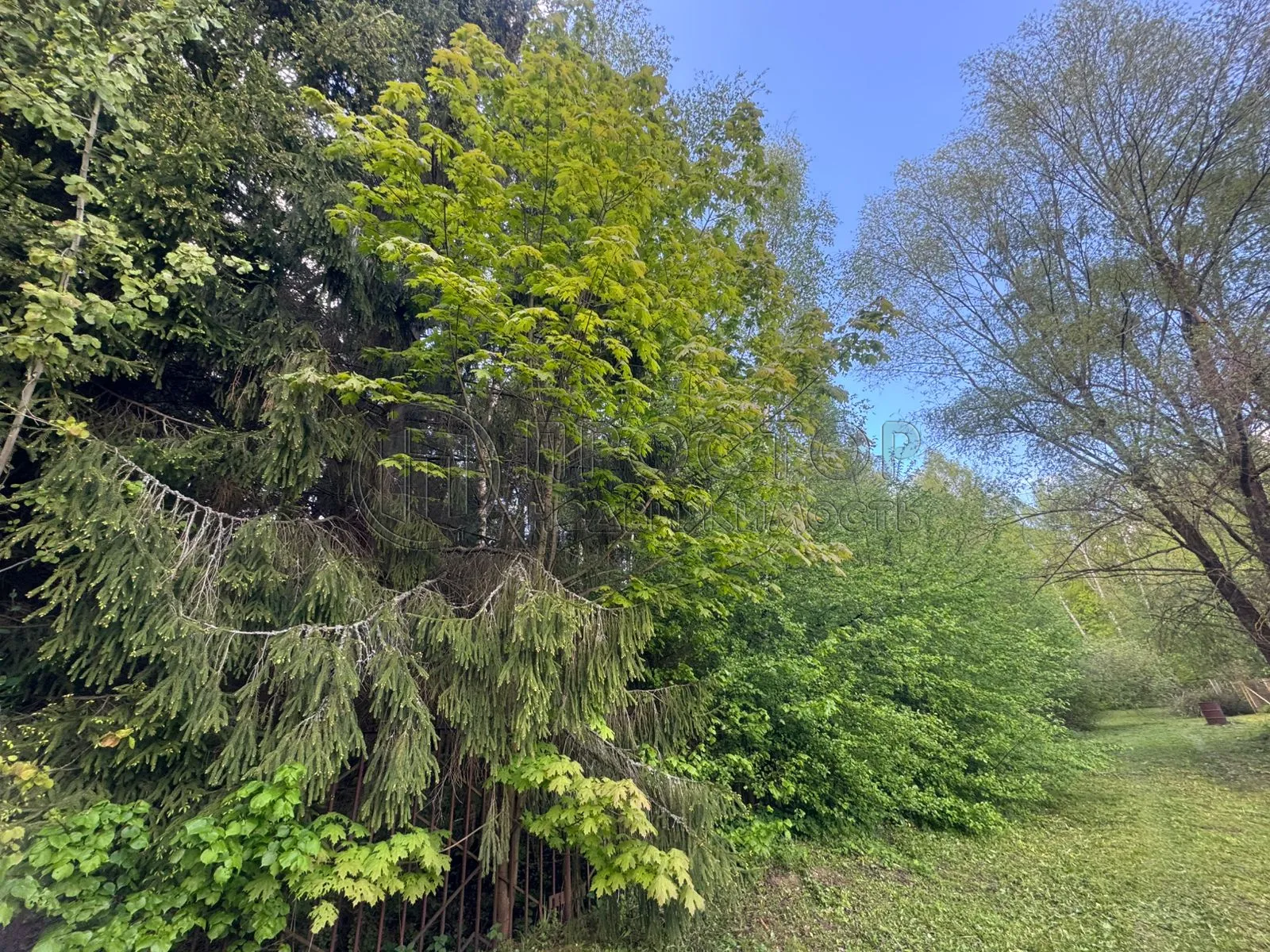 Коммерческая недвижимость (земельный участок),  м² - фото 11