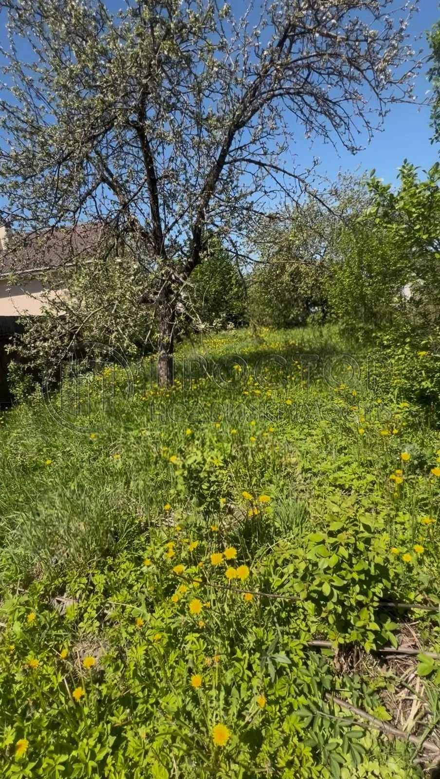 Участок, 7 сот. - фото 4