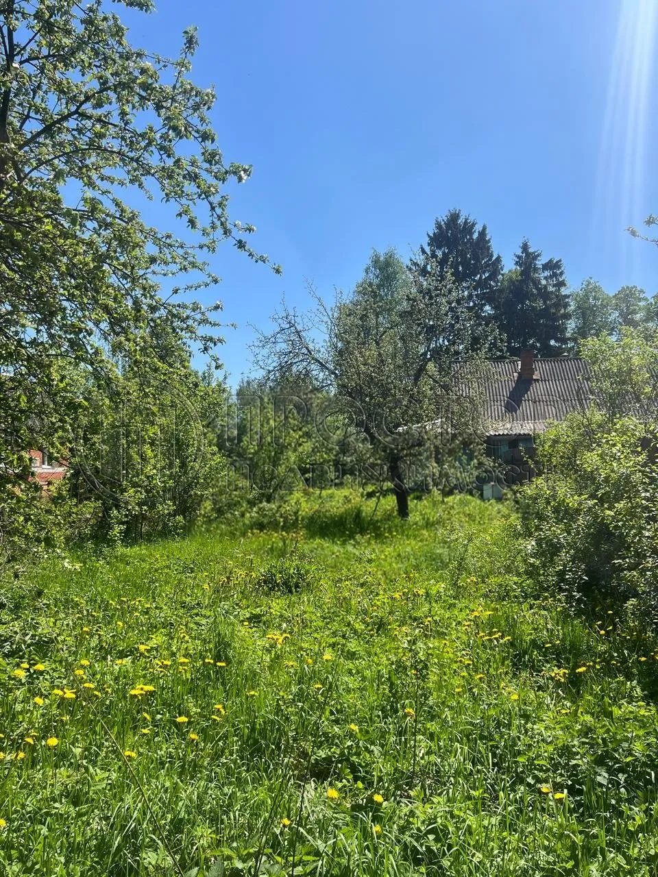 Участок, 7 сот. - фото 5