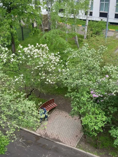 2-комнатная квартира, 43.7 м² - фото 13