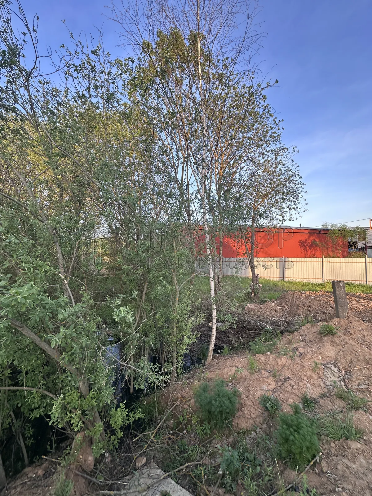 Участок, 25 сот. - фото 9