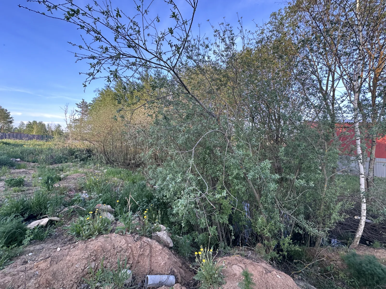 Участок, 25 сот. - фото 10