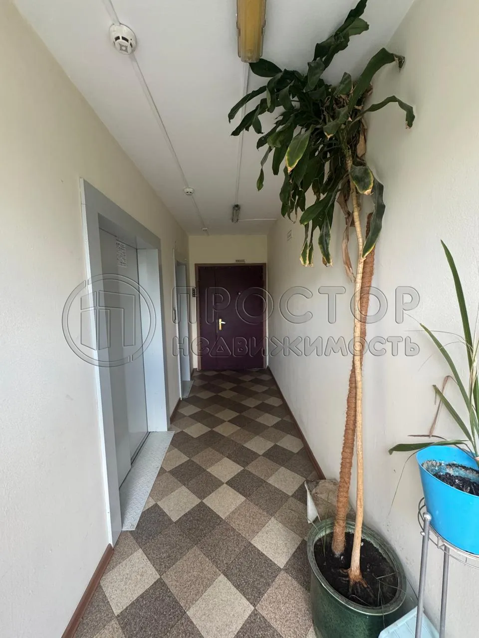 2-комнатная квартира, 53.7 м² - фото 17