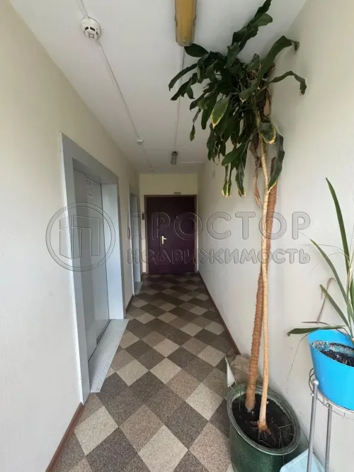 2-комнатная квартира, 53.7 м² - фото 17